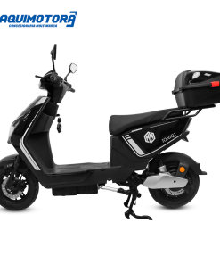 IONI Q2