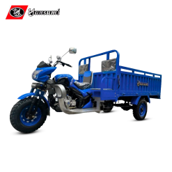 YS250AF3-P