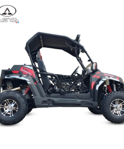 BUGGY UTV 300