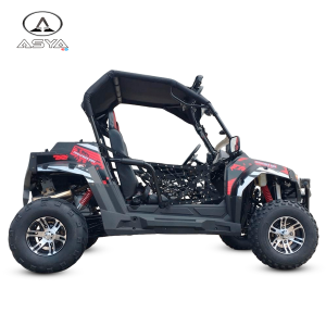 BUGGY UTV 300