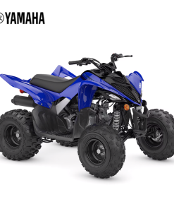 YFM 110R RAPTOR