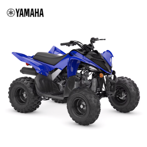 YFM 110R RAPTOR