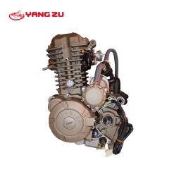 CG 300CC AGUA