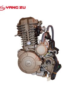 CG 300CC AGUA