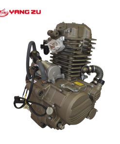 CG300 W
