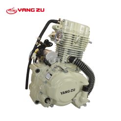 ZS CG250 W