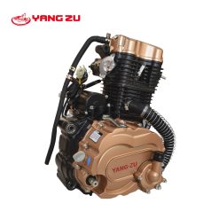 ZS CG250 W