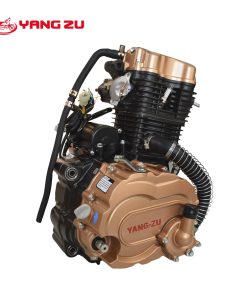 ZS CG250 W