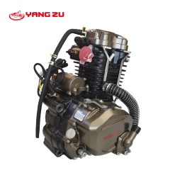 ZS CG250 W