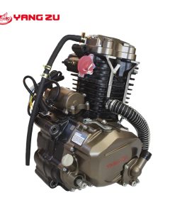 ZS CG250 W