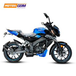 VZ 250 MAX