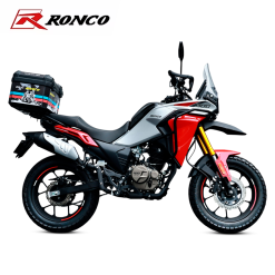 ADV 300 RALLY