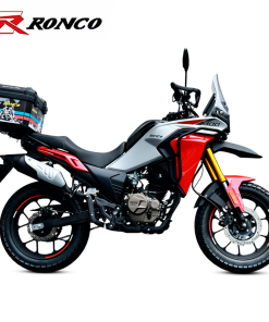ADV 300 RALLY