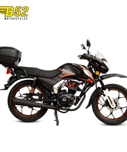 WORKMAN 200