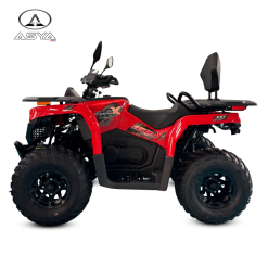 PROMAX  250 EFI
