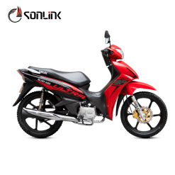 SL110-W10
