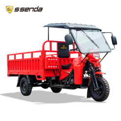 SS 300 ZH 2A CON TECHO