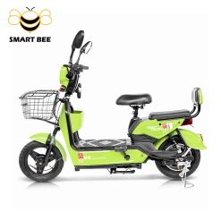 SMART BEE JY